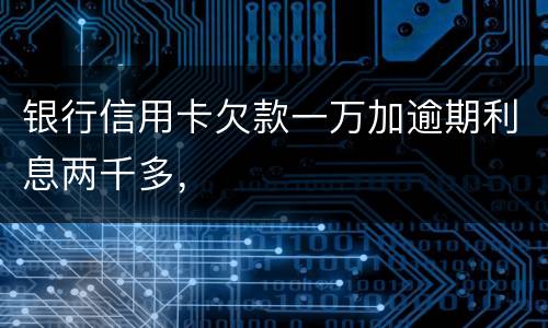 银行信用卡欠款一万加逾期利息两千多，