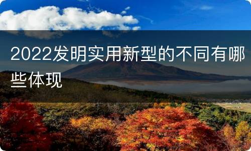 2022发明实用新型的不同有哪些体现