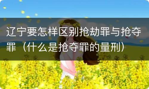 辽宁要怎样区别抢劫罪与抢夺罪（什么是抢夺罪的量刑）