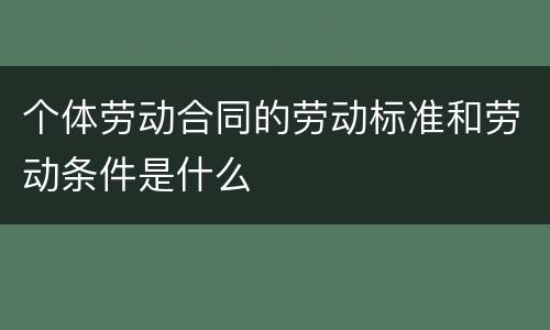 个体劳动合同的劳动标准和劳动条件是什么