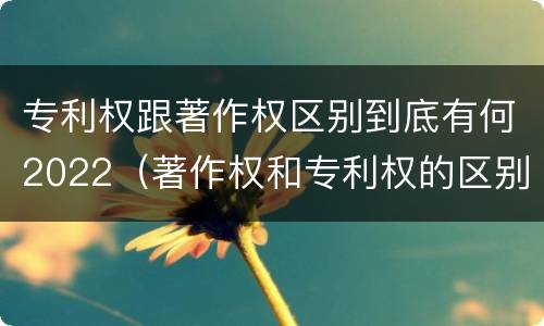 专利权跟著作权区别到底有何2022（著作权和专利权的区别）
