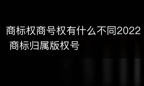 商标权商号权有什么不同2022 商标归属版权号