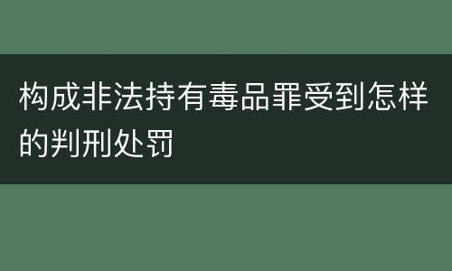 构成非法持有毒品罪受到怎样的判刑处罚