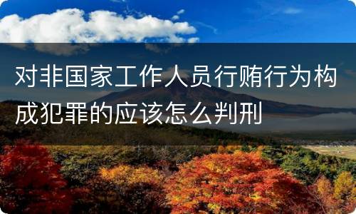 对非国家工作人员行贿行为构成犯罪的应该怎么判刑