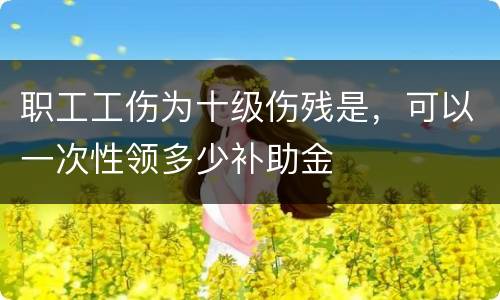 职工工伤为十级伤残是，可以一次性领多少补助金