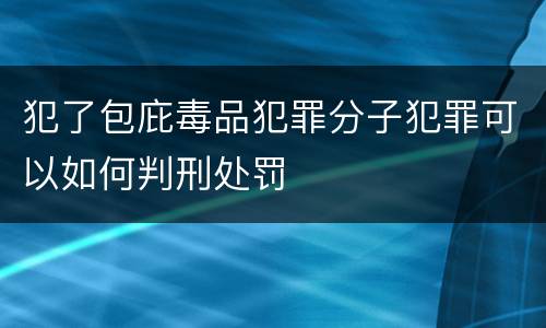 犯了包庇毒品犯罪分子犯罪可以如何判刑处罚