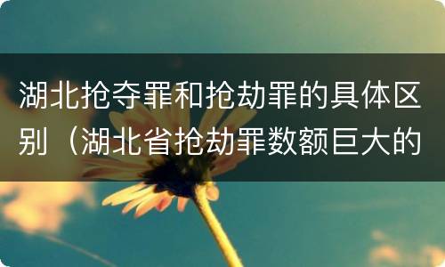 湖北抢夺罪和抢劫罪的具体区别（湖北省抢劫罪数额巨大的标准）