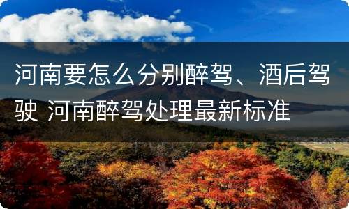 河南要怎么分别醉驾、酒后驾驶 河南醉驾处理最新标准