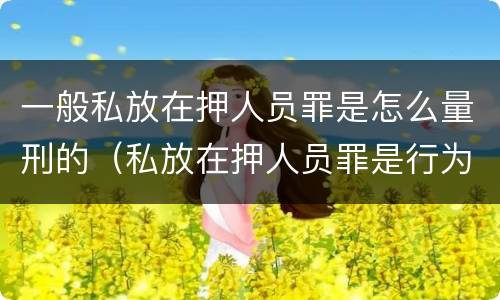 一般私放在押人员罪是怎么量刑的（私放在押人员罪是行为犯吗）