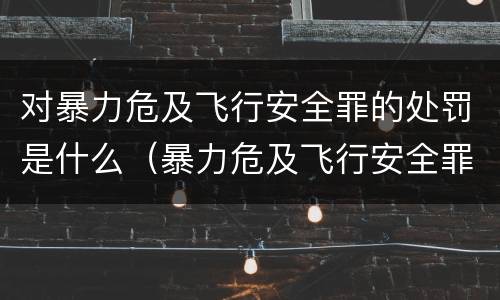 对暴力危及飞行安全罪的处罚是什么（暴力危及飞行安全罪是危险犯吗）