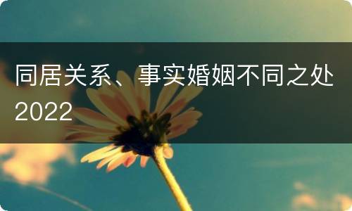 同居关系、事实婚姻不同之处2022