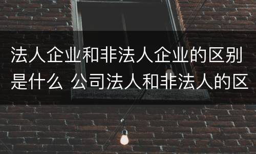 法人企业和非法人企业的区别是什么 公司法人和非法人的区别