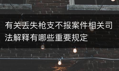 有关丢失枪支不报案件相关司法解释有哪些重要规定