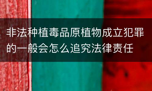 非法种植毒品原植物成立犯罪的一般会怎么追究法律责任