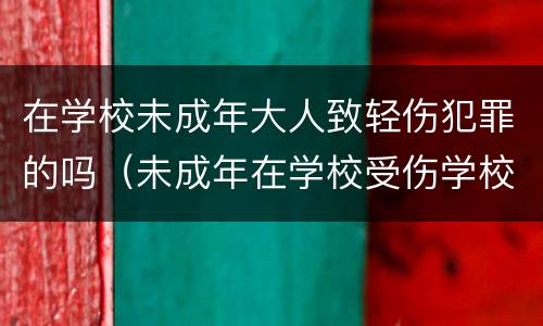 在学校未成年大人致轻伤犯罪的吗(未成年在学校受伤学校的责任)