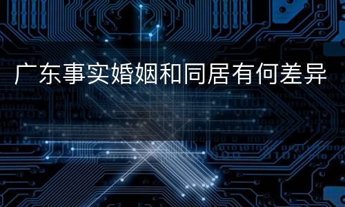 广东事实婚姻和同居有何差异