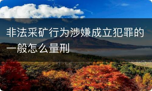 非法采矿行为涉嫌成立犯罪的一般怎么量刑