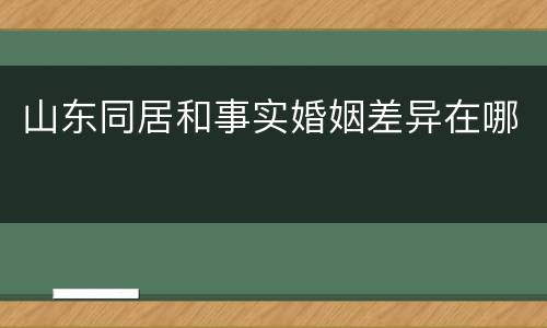 山东同居和事实婚姻差异在哪