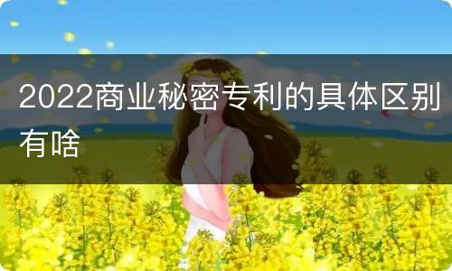 2022商业秘密专利的具体区别有啥