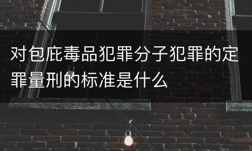 对包庇毒品犯罪分子犯罪的定罪量刑的标准是什么