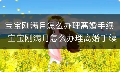宝宝刚满月怎么办理离婚手续 宝宝刚满月怎么办理离婚手续和证件