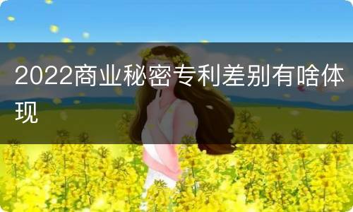 2022商业秘密专利差别有啥体现