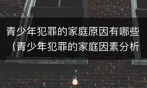 青少年犯罪的家庭原因有哪些（青少年犯罪的家庭因素分析）