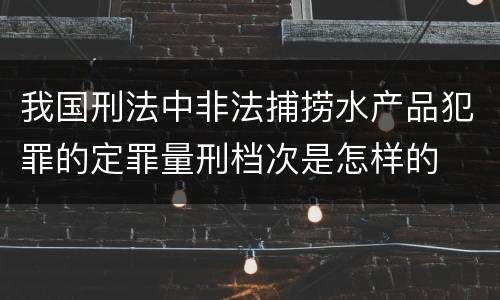 我国刑法中非法捕捞水产品犯罪的定罪量刑档次是怎样的
