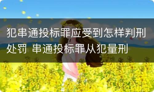 犯串通投标罪应受到怎样判刑处罚 串通投标罪从犯量刑