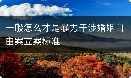 一般怎么才是暴力干涉婚姻自由案立案标准
