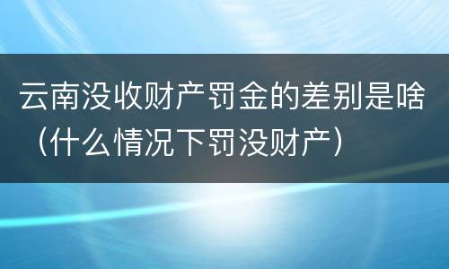 云南没收财产罚金的差别是啥（什么情况下罚没财产）