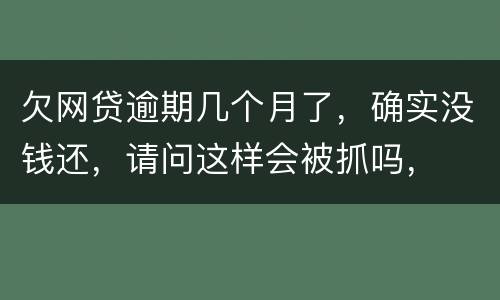 欠网贷逾期几个月了，确实没钱还，请问这样会被抓吗，
