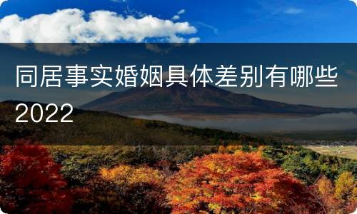 同居事实婚姻具体差别有哪些2022