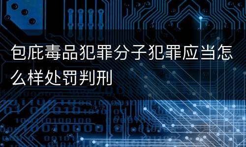 包庇毒品犯罪分子犯罪应当怎么样处罚判刑