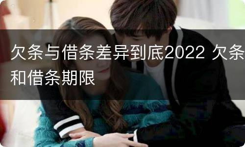 欠条与借条差异到底2022 欠条和借条期限