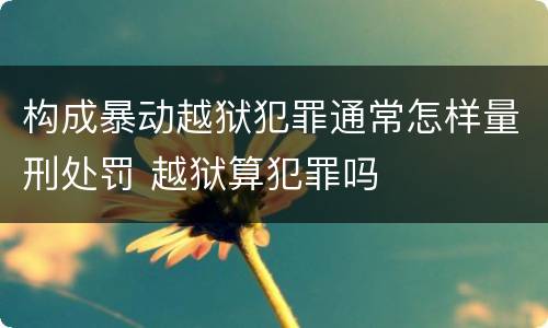 构成暴动越狱犯罪通常怎样量刑处罚 越狱算犯罪吗