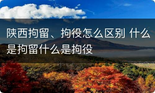 陕西拘留、拘役怎么区别 什么是拘留什么是拘役