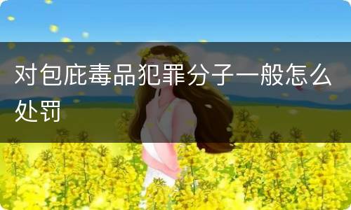 对包庇毒品犯罪分子一般怎么处罚