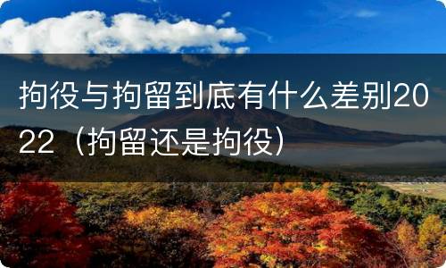 拘役与拘留到底有什么差别2022（拘留还是拘役）