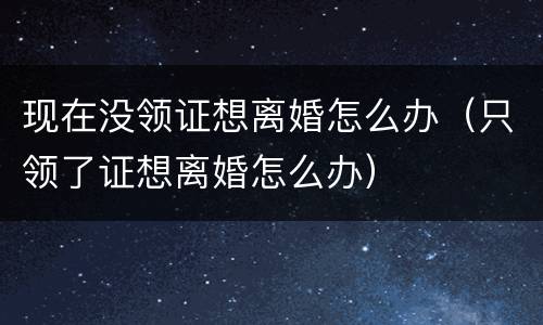 现在没领证想离婚怎么办（只领了证想离婚怎么办）