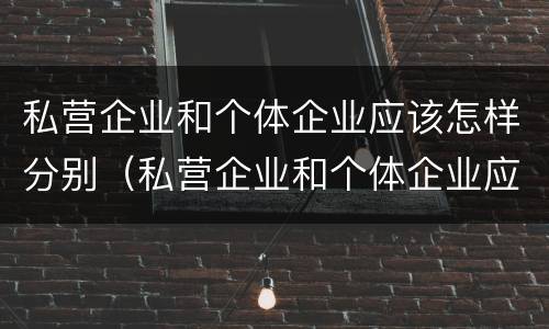 私营企业和个体企业应该怎样分别（私营企业和个体企业应该怎样分别认定）
