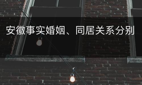 安徽事实婚姻、同居关系分别
