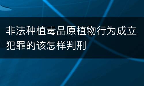 非法种植毒品原植物行为成立犯罪的该怎样判刑