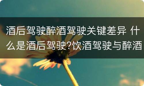 酒后驾驶醉酒驾驶关键差异 什么是酒后驾驶?饮酒驾驶与醉酒驾驶的区别是什么?