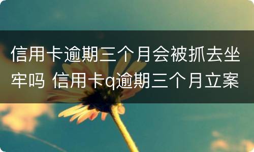 信用卡逾期三个月会被抓去坐牢吗 信用卡q逾期三个月立案怎么办