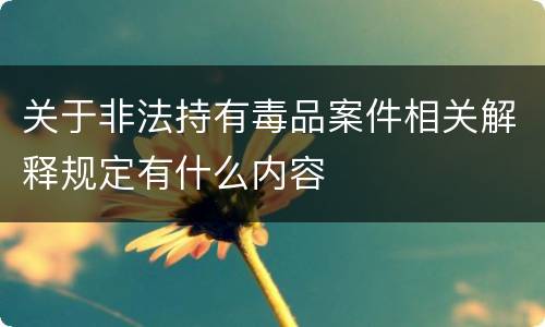关于非法持有毒品案件相关解释规定有什么内容