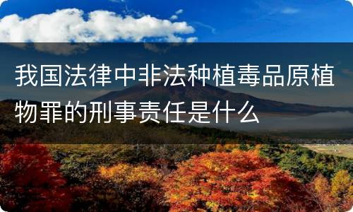 我国法律中非法种植毒品原植物罪的刑事责任是什么