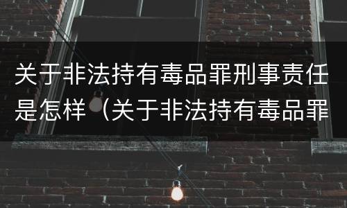 关于非法持有毒品罪刑事责任是怎样（关于非法持有毒品罪刑事责任是怎样划分的）