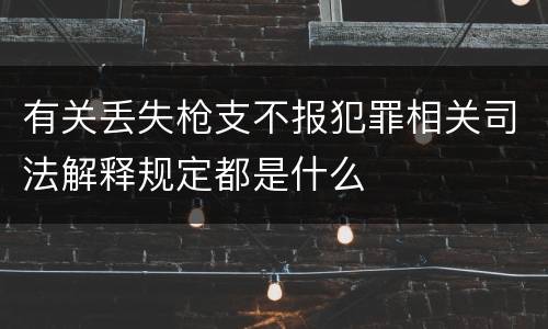 有关丢失枪支不报犯罪相关司法解释规定都是什么