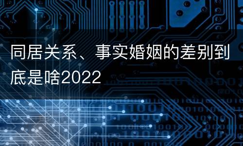同居关系、事实婚姻的差别到底是啥2022